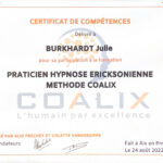 CERTIFICAT-DE-COMPÉTENCES-2