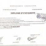 DU universitaire d TCC (therapie cognitive et comportementale)